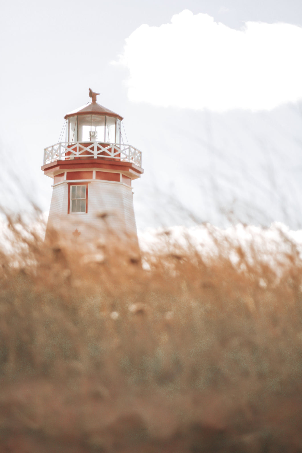 North Cape Light Postcard