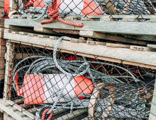 Load image into Gallery viewer, Lobster Trap Postcard
