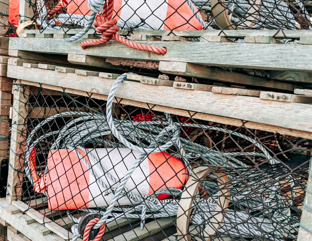 Lobster Trap Postcard