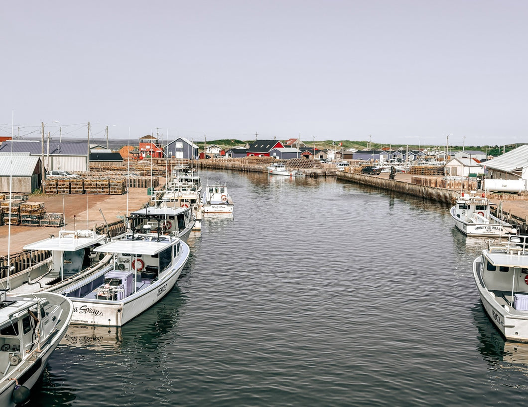 North Lake Postcard